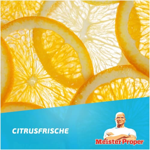 Meister Proper Mehrzweck-Reinigungsspray Citrusfrische