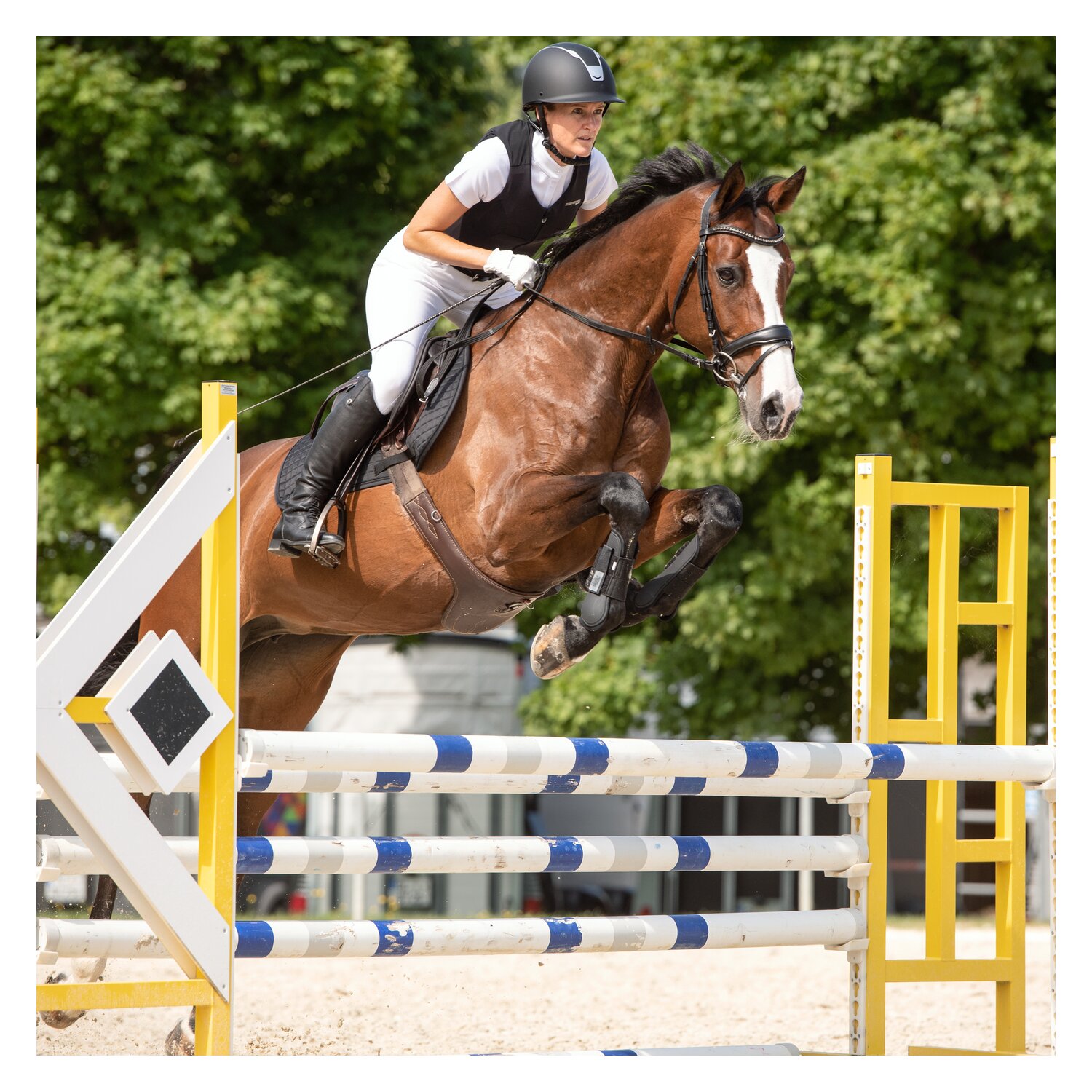 Cheval de Luxe Reithelm Chambery  - black