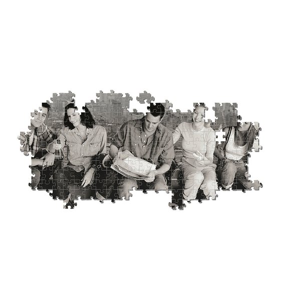 Puzzle Friends - Panorama 1000 Pièces