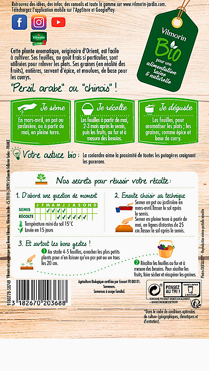 Graines de Coriandre Cultivée Bio