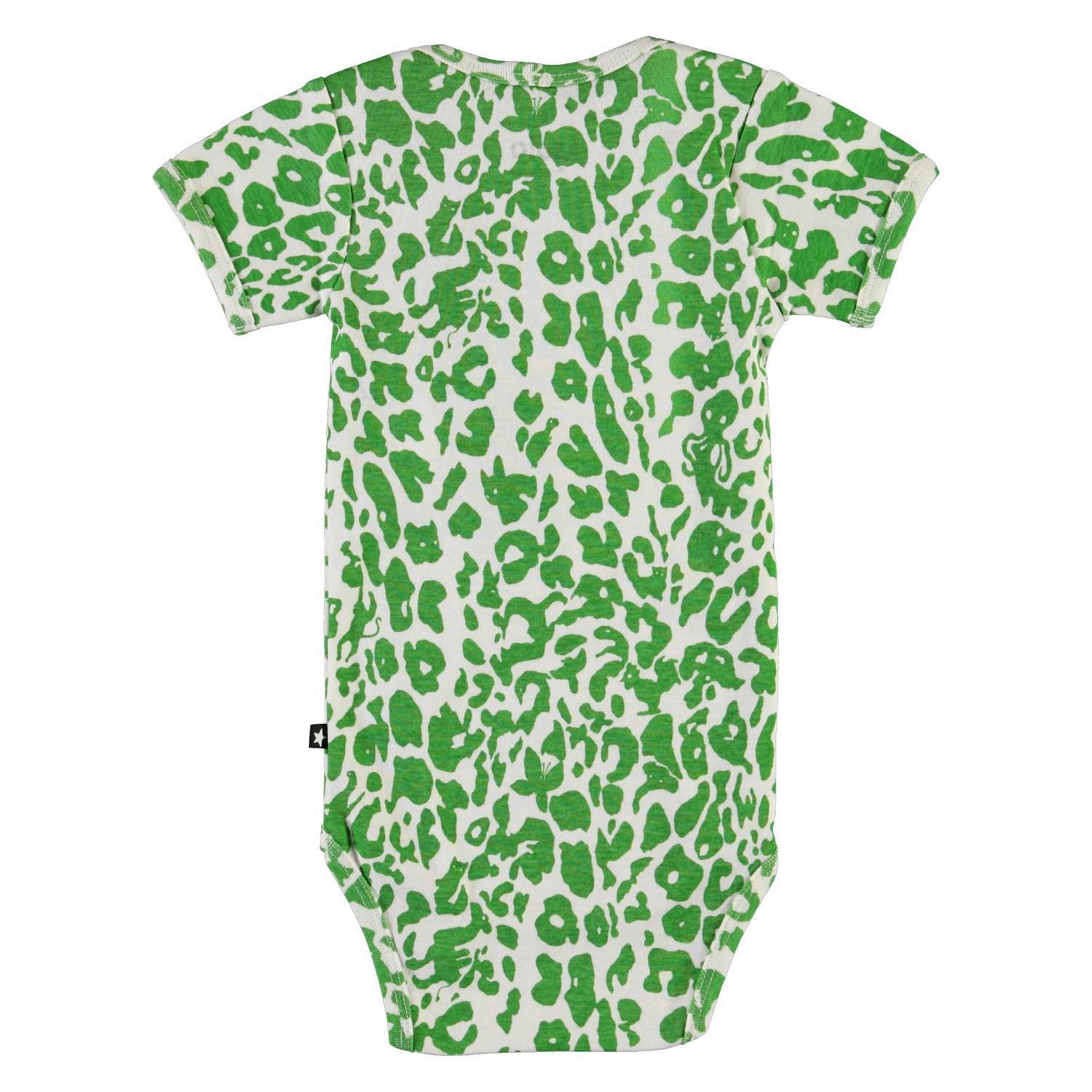 Fawl - Leopard Animals