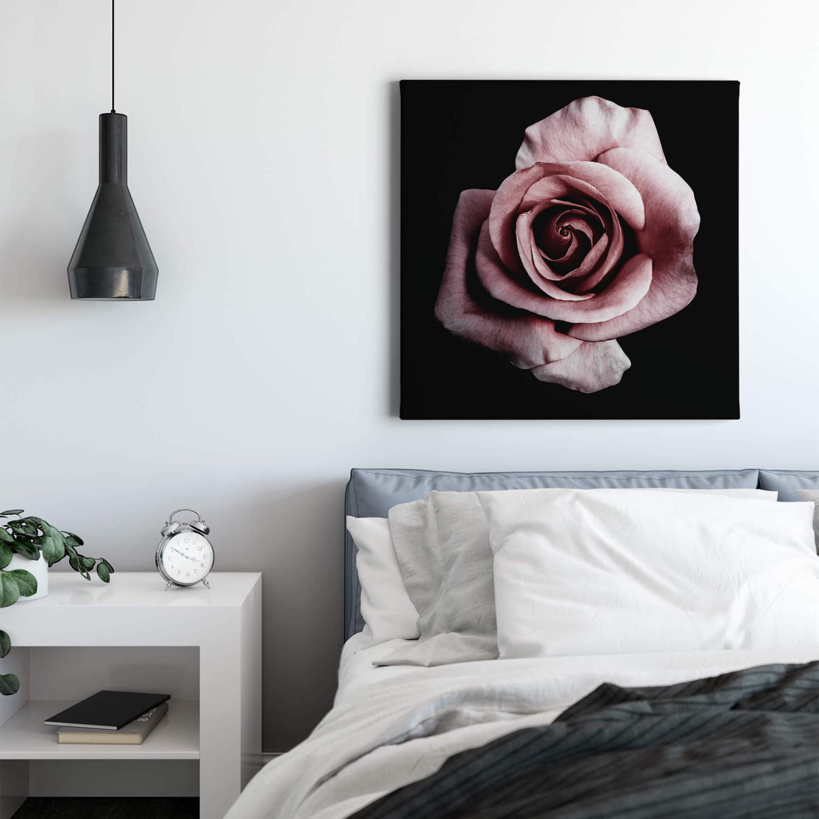 Leinwandbild EINZELNE ROSE - rosa - 50x50 cm
