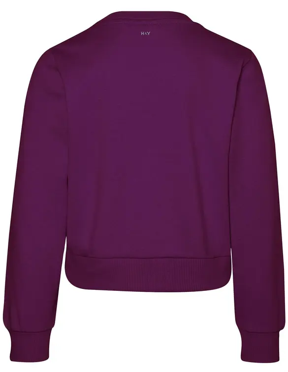 Harper & Yve Sweater Rhinestone AW24Y502