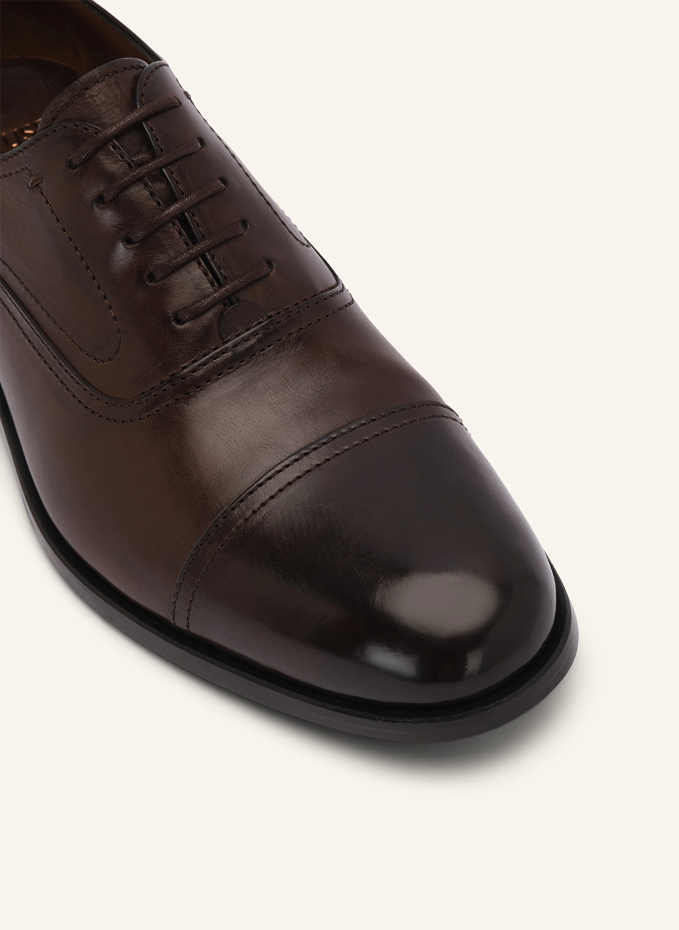 LOTTUSSE Oxford LUTTON
