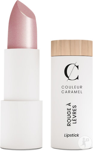 Couleur Caramel Rouge À Lèvres Métal N°205 Rose Pâle 3,5g