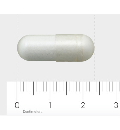 AOV 606 Acetyl-l-carnitine (90 vega capsules)