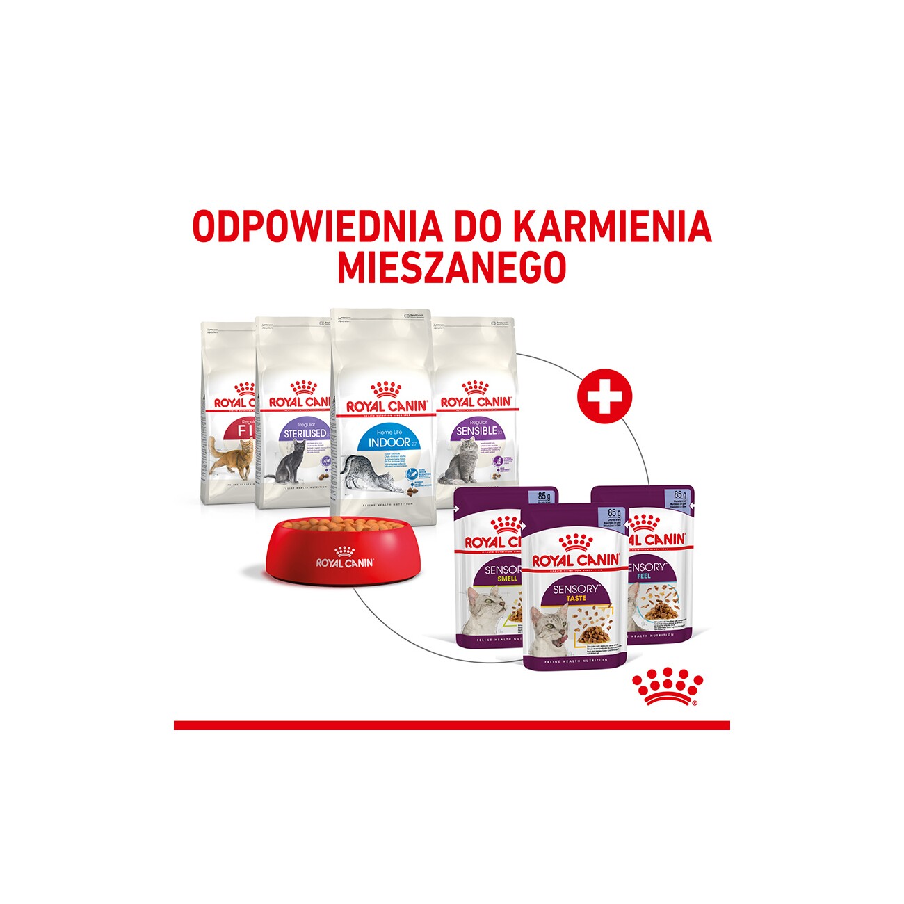 ROYAL CANIN SENSORY Feel in Gelee für wählerische Katzen 12x85g