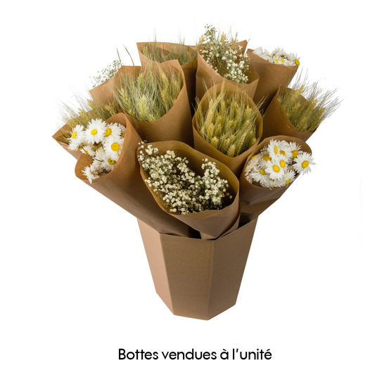 Botte de fleurs séchées - Blanc