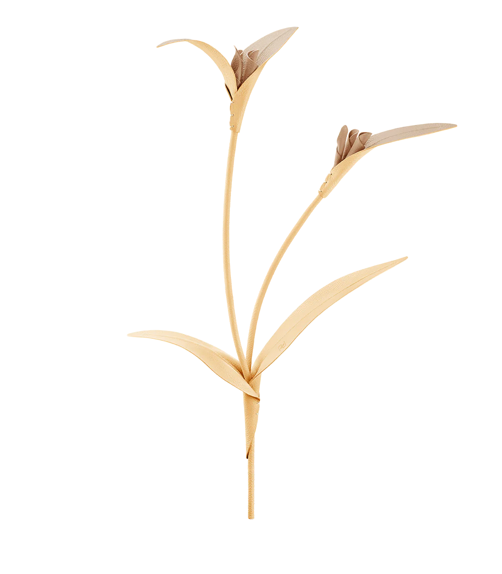 Fleur Touka - Trio Blé Grainé