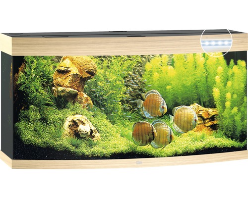 JUWEL Vision 260 aquarium met LED-verlichting, verwarming, filter, zonder kast, licht hout