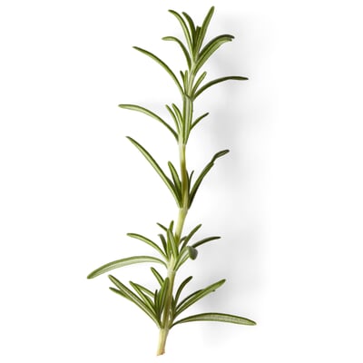 Nachfüller zu Naturseife Soeder, Lavendel-Salbei-Rosmarin