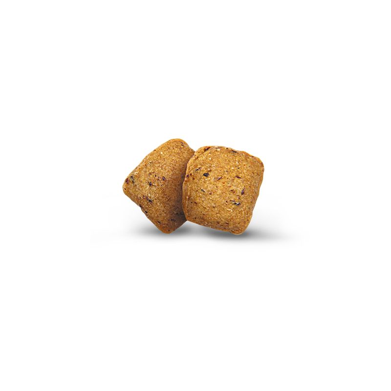 Green Petfood VeggieDog