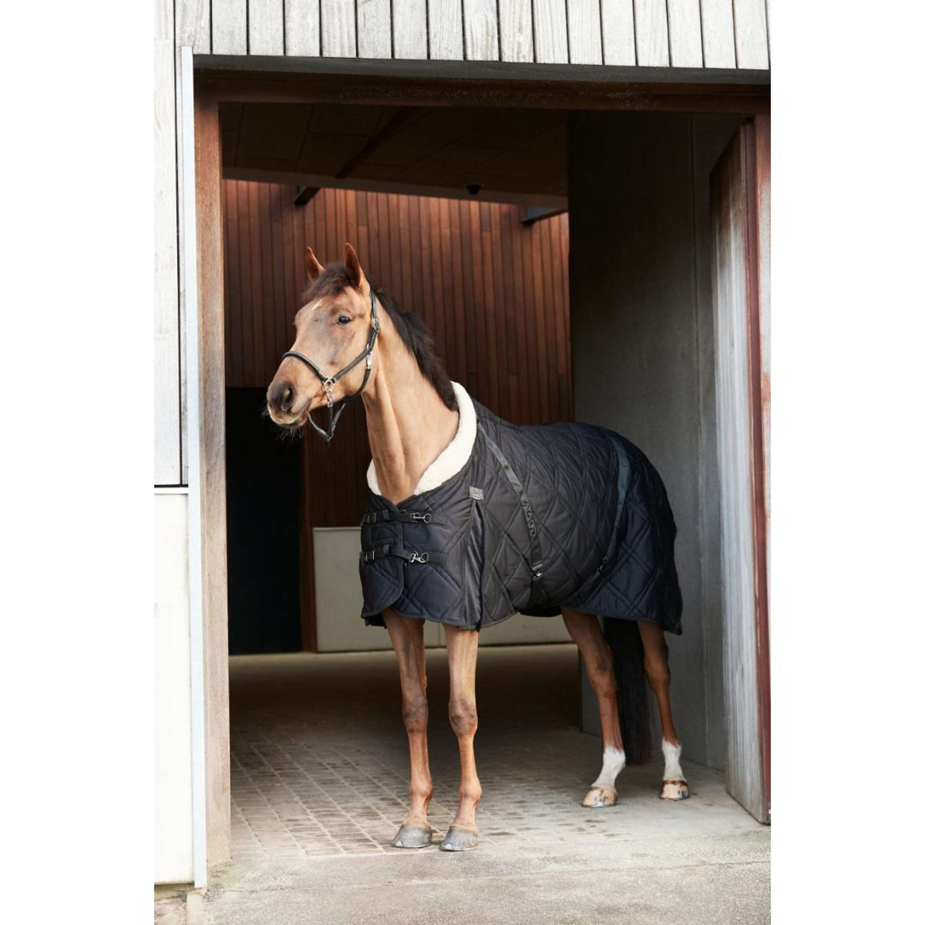 Catago Staldeken Fir-Tech Quilt Zwart