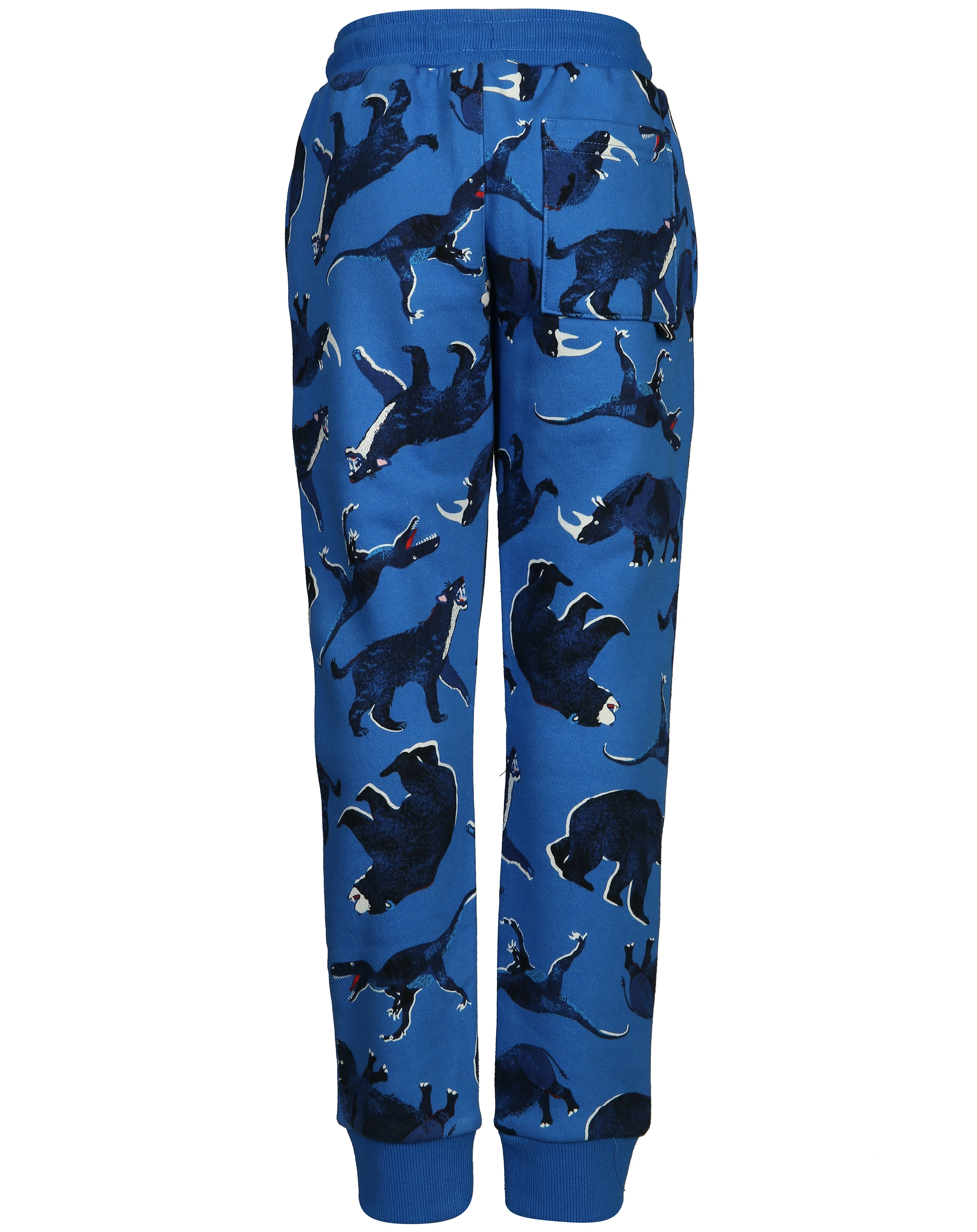 Sweathose CHAMPION - BEAST in blau