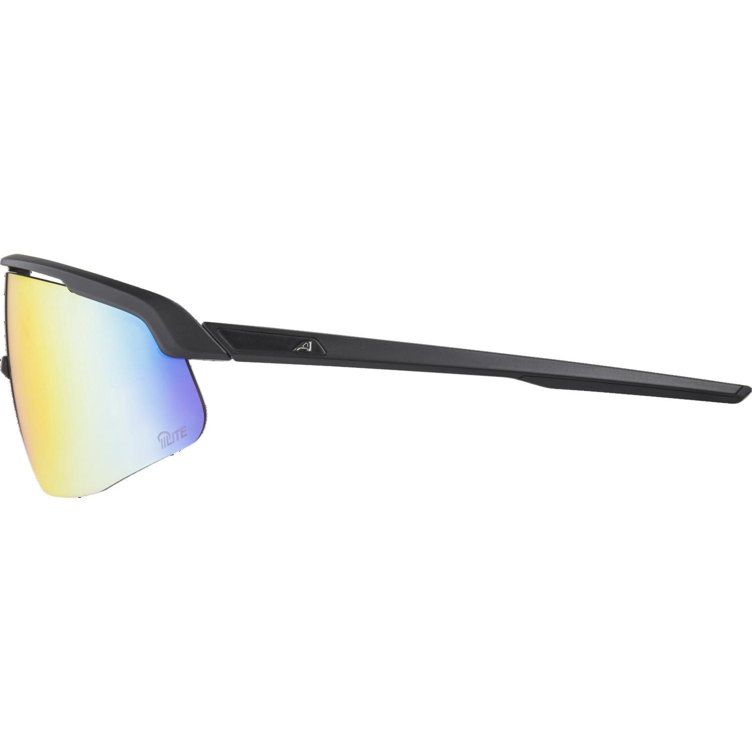 Alpina Turbo Pro Q-Lite Sportbrille black matt
