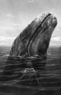 The Lost Whale (Hardback)