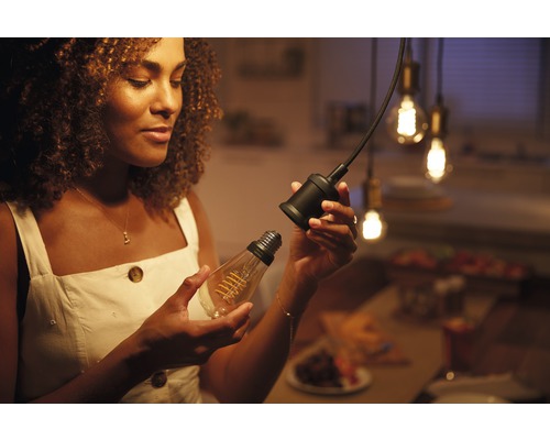 Philips Hue LED-gloeilamp, wit, dimbaar, helder, E27/7W (50W), 550 lm, 2100 K, warm wit, A60 - compatibel met SMART HOME van Hornbach