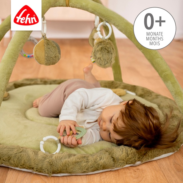 Fehn Spielbogen »Lazy, Crazy & Pink, Chamäleon, 3-D-Activity-Decke« mit 5 abnehmbaren Spielzeugen
