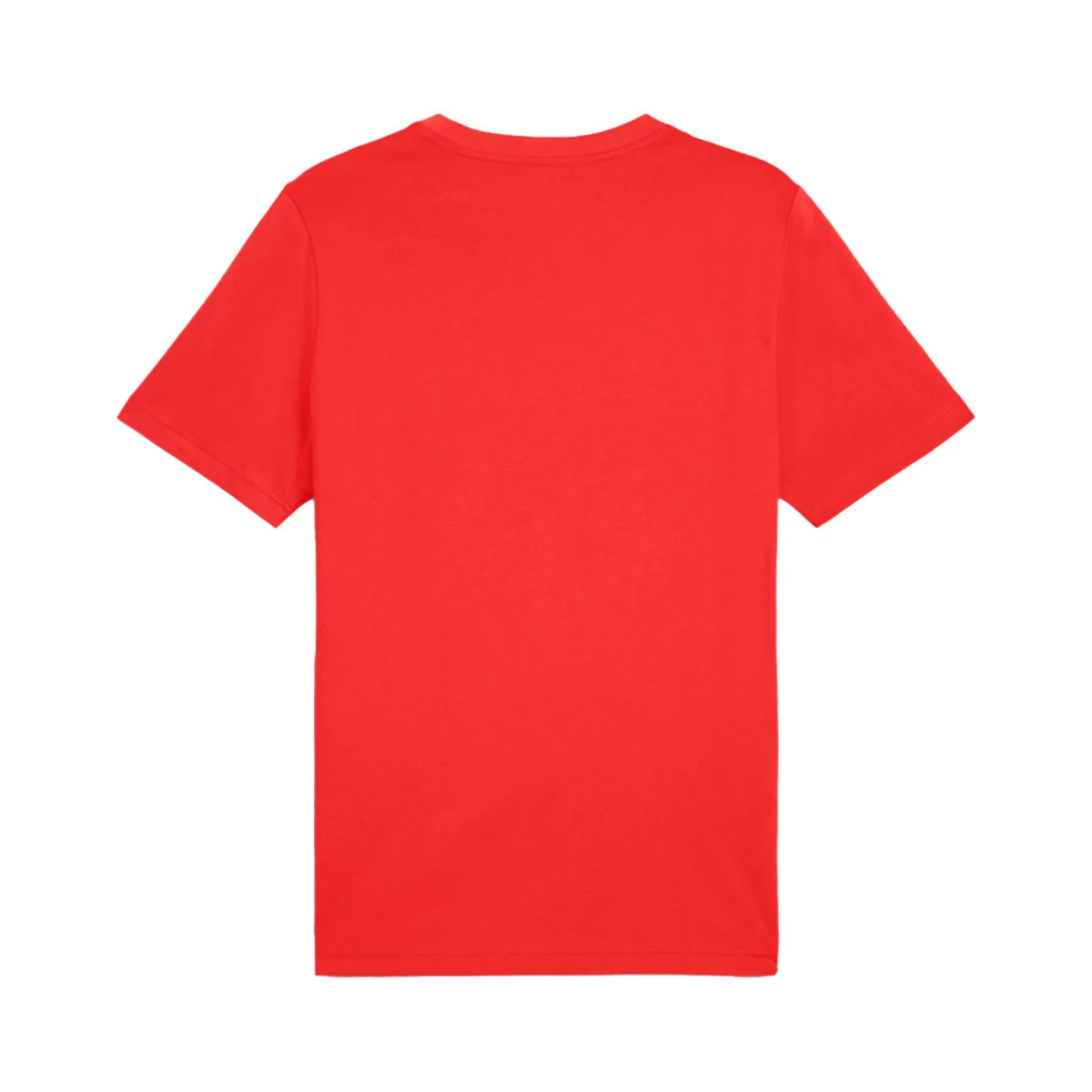T-Shirt Puma Graphics Icon Tee