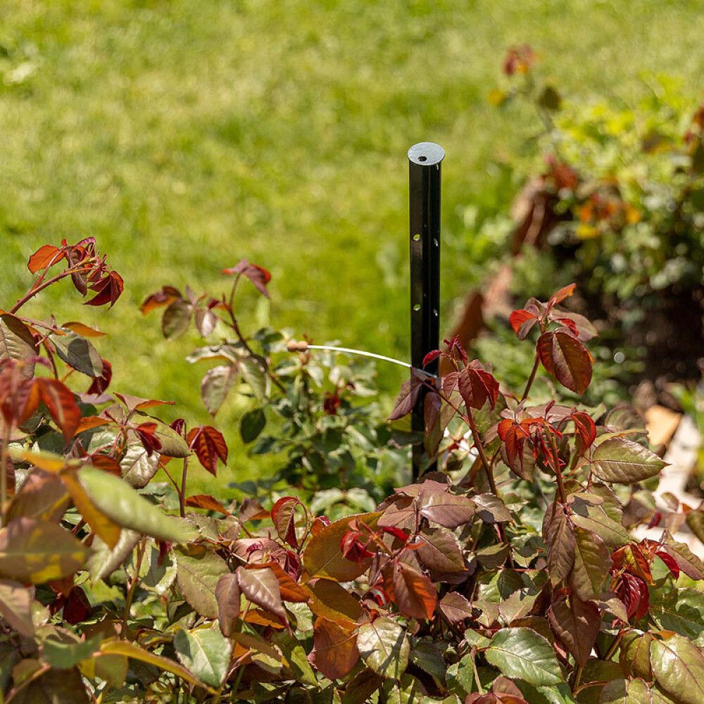 PLANTESTØTTE BELLISSA TIMO 150CM