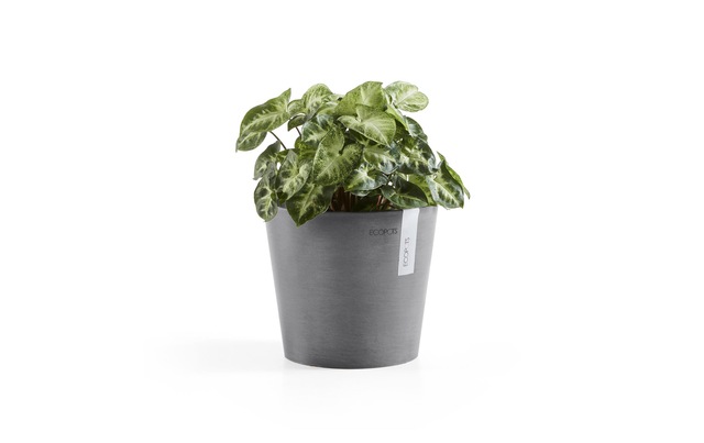 ECOPOTS Blumentopf »Amsterdam 30 G«