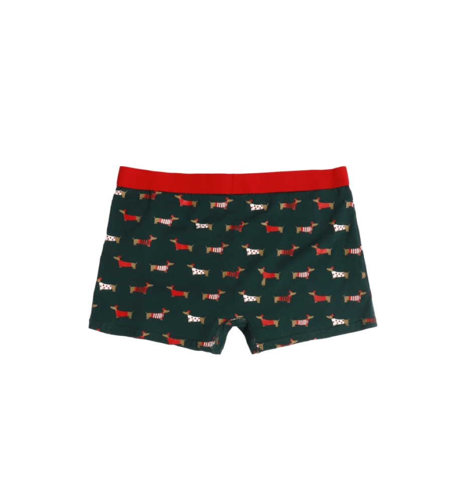 Filhotes de Boxer Verdes Admas