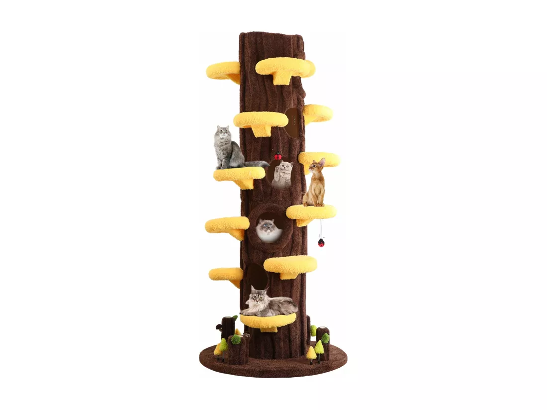 Cadre d'escalade pour chat en bois, couleur brun foncé