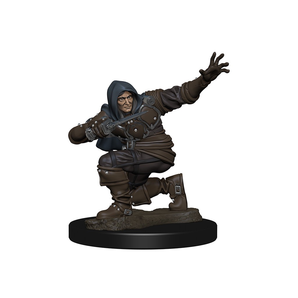 Pathfinder Deepcuts Unpainted Miniatures: Human Male Rogue