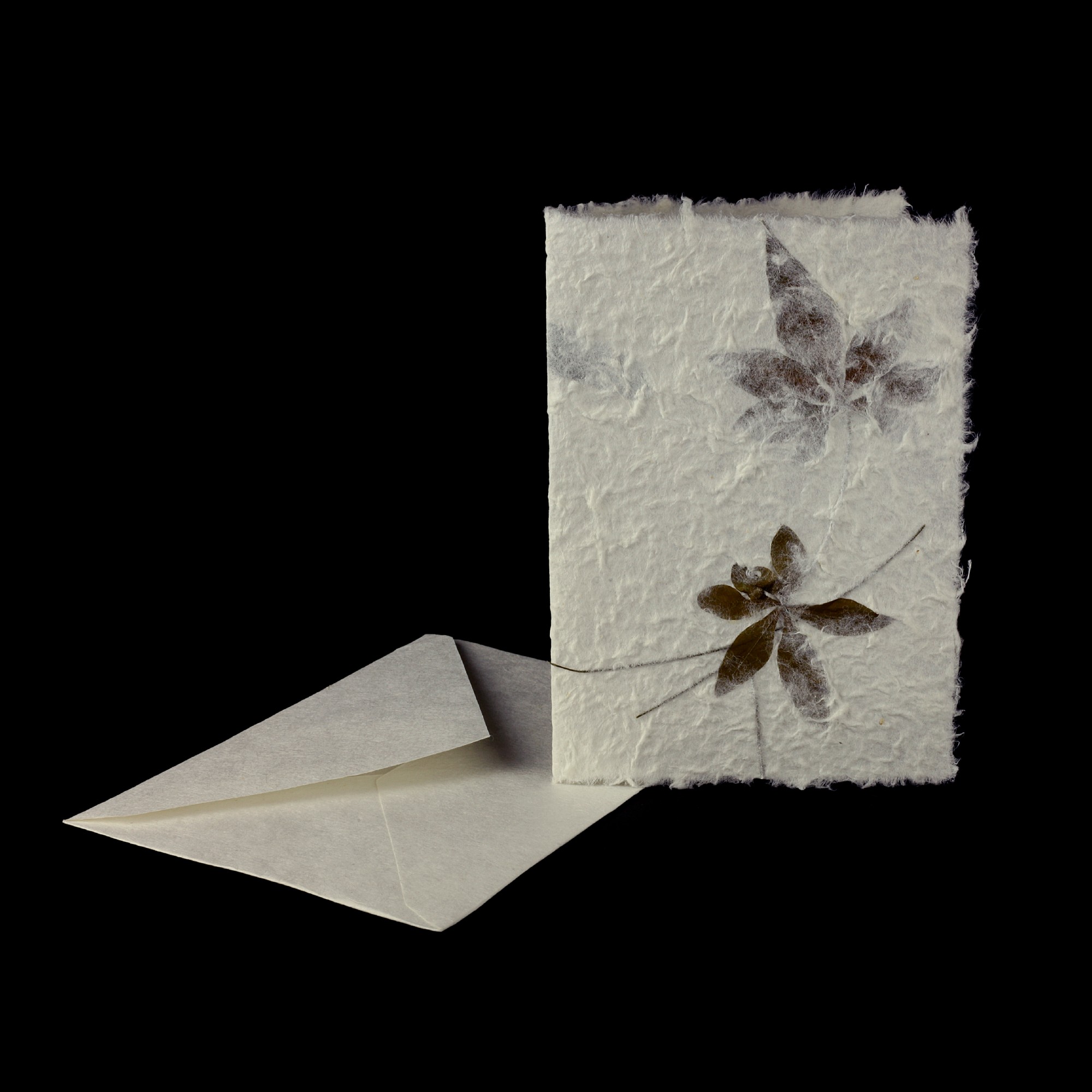 Grußkarte 'Sacha Blüte', Büttenpapier, B 12,5 cm, H 17 cm günstig bestellen