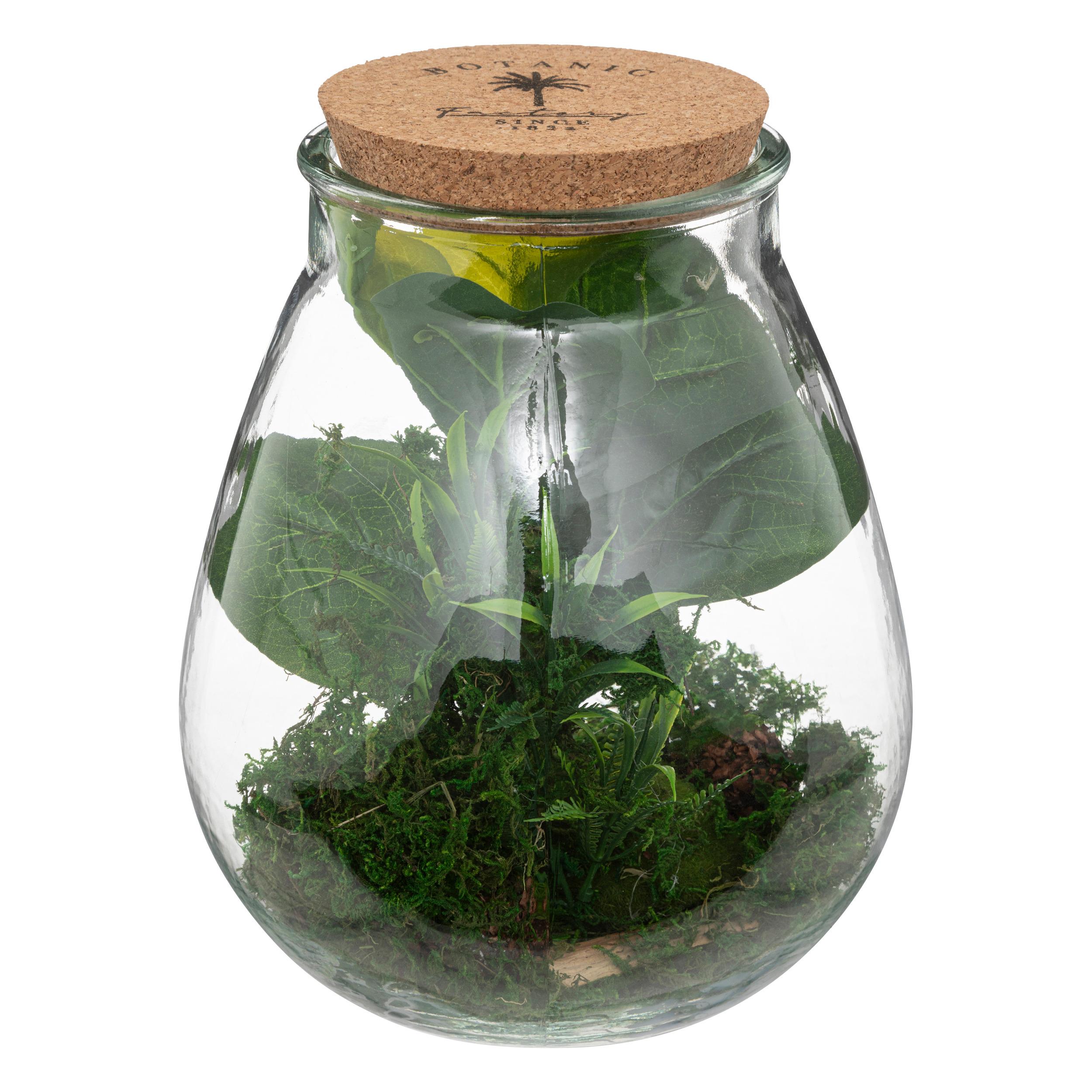 TERRARIUM VERRE BOTANIC H.29.5CM