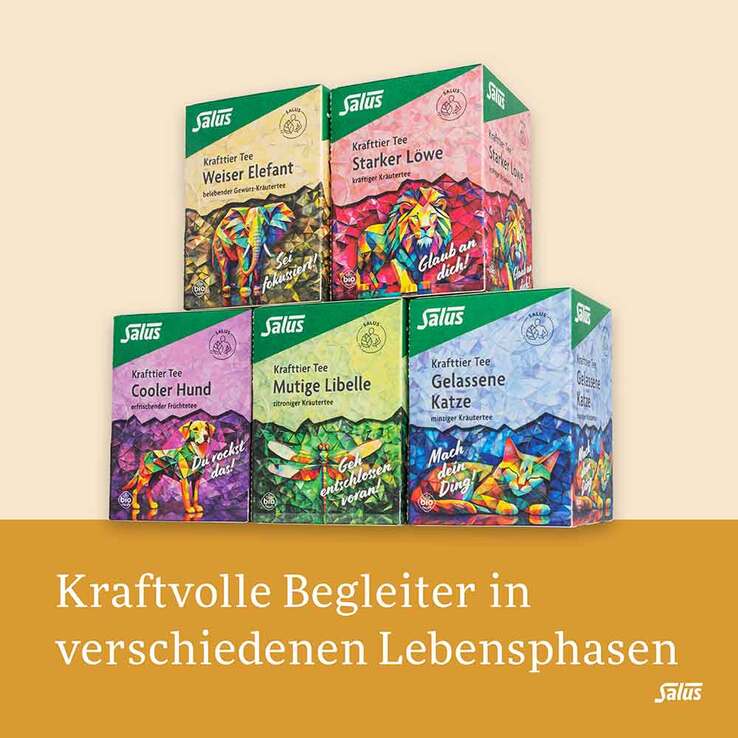 Krafttier Tee Weiser Elefant Bio Salus Filterbeutel , 15 St