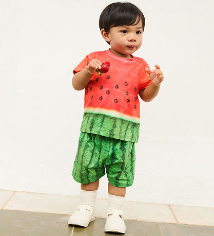 Molo Shorts - Suno - Melancia