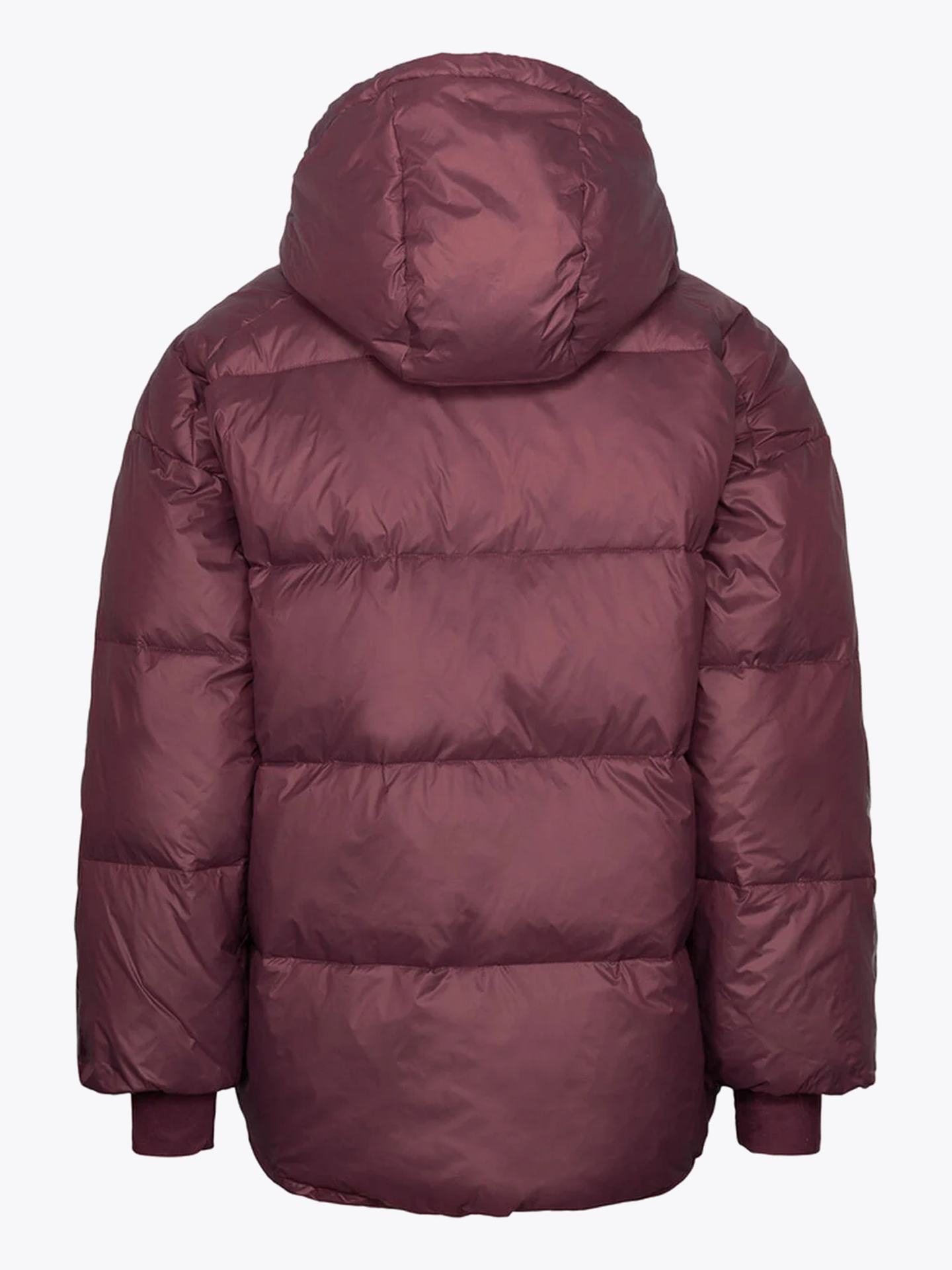 Lit Down Jacket