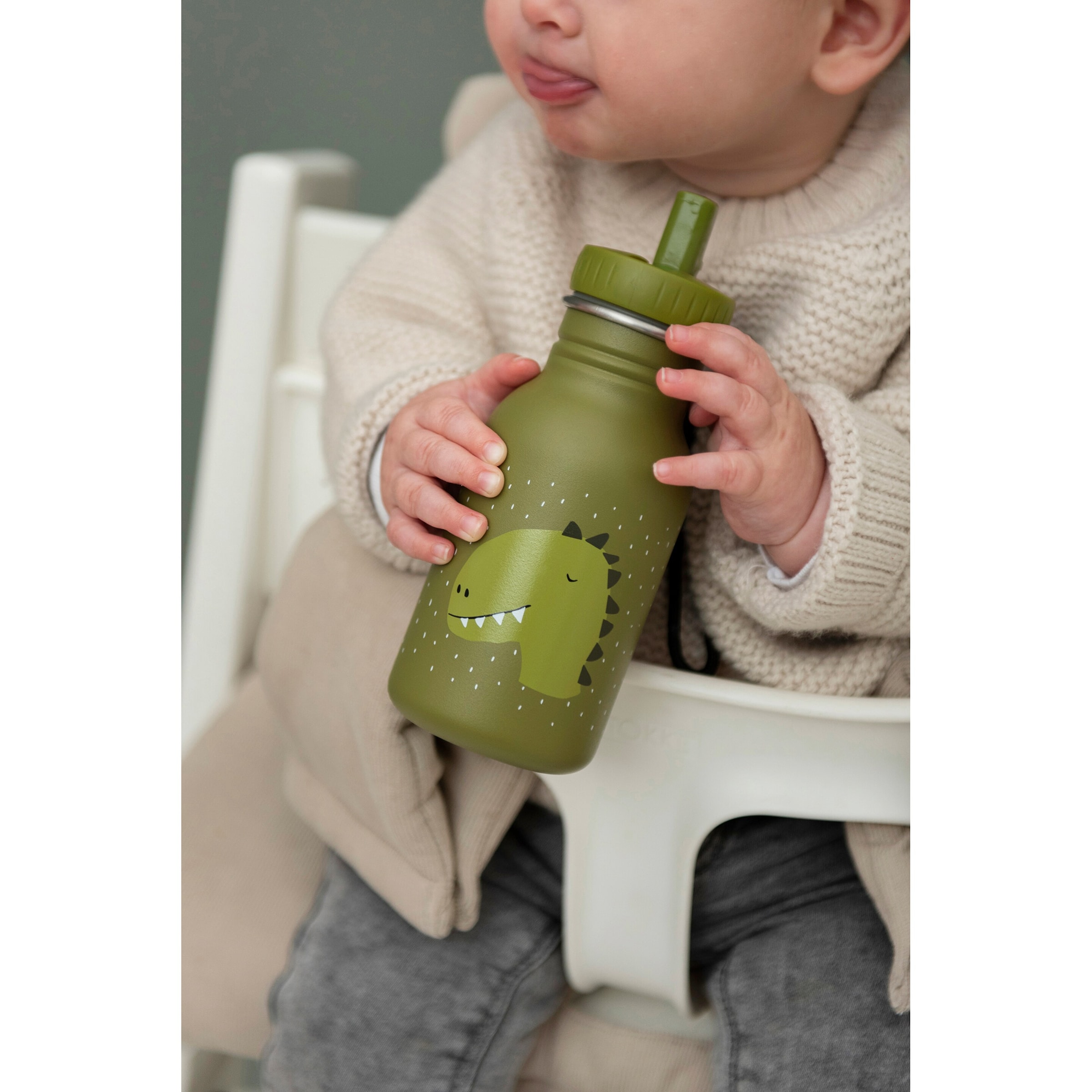 trixie Trinkflasche aus Edelstahl 350 ml Dino / grün