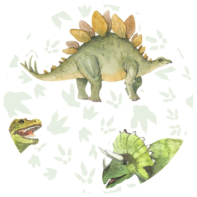 Fotokarton - Dinosaurier