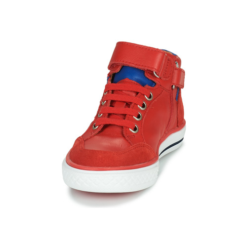 GBB - ALIMO - Rouge