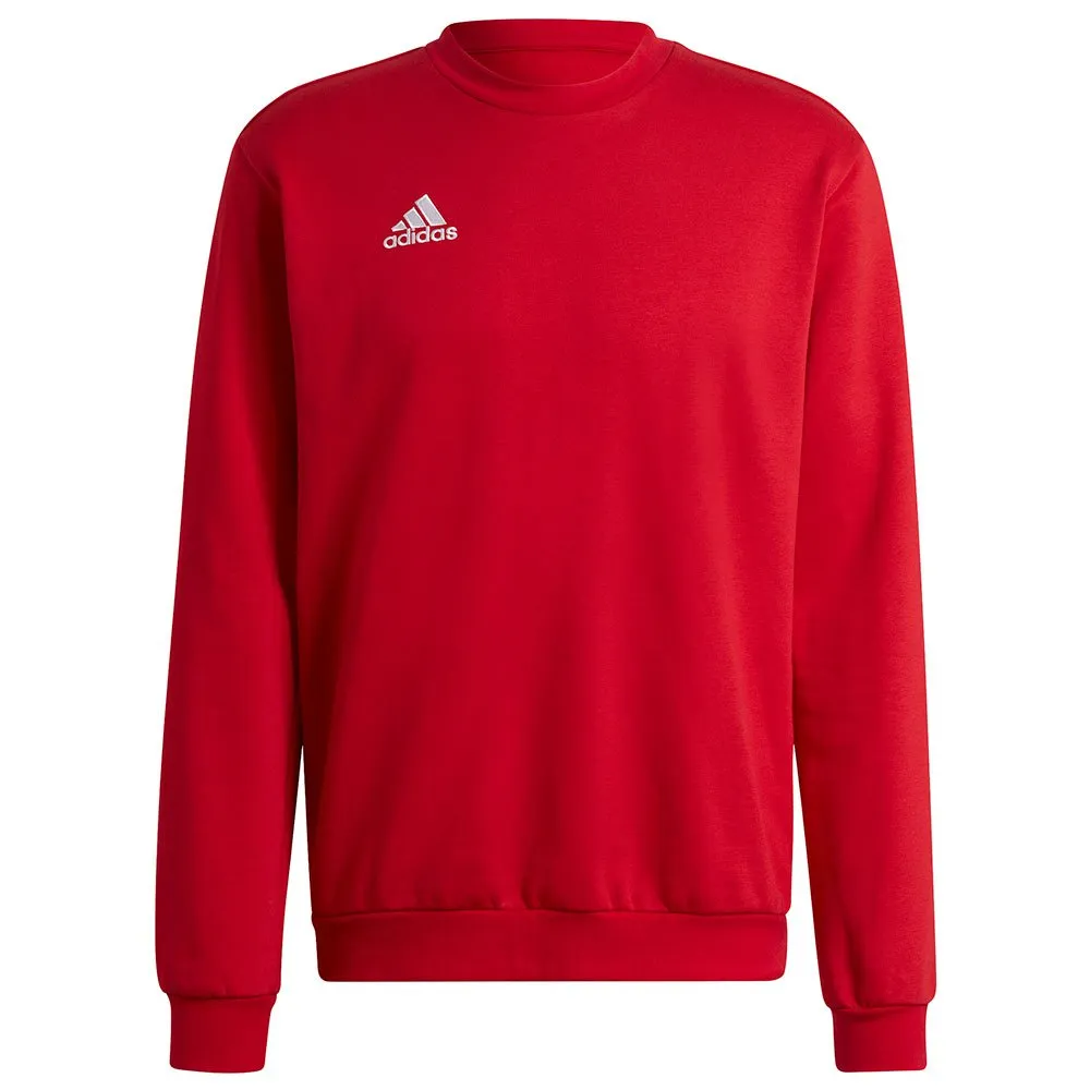 Moletom adidas Entrada 22 Stadium SW