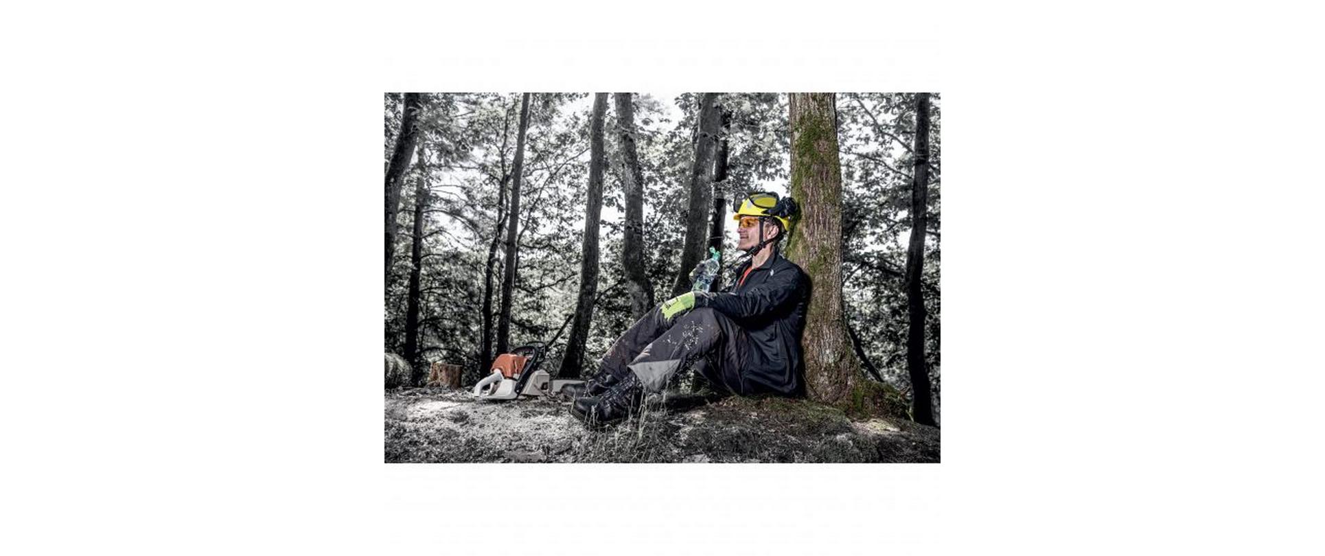 Schutzhelm Pheos Forestry, Gelb<br>Forsthelm Komplettset