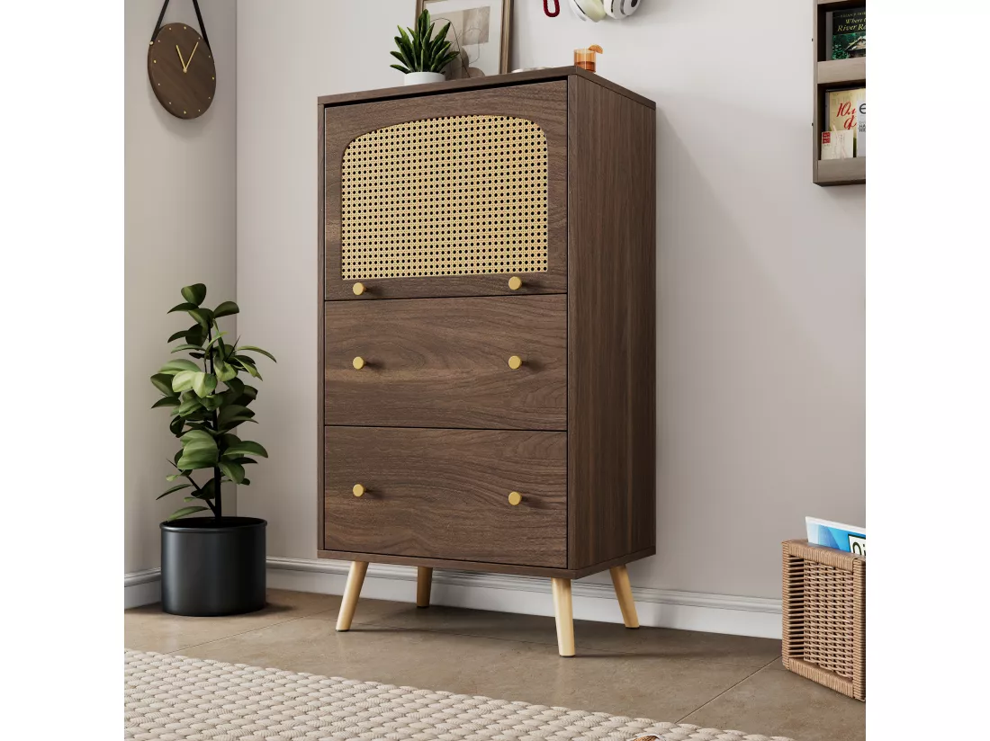 Armoire compacte en noyer avec détails en rotin, deux tiroirs, porte coulissante et pieds dorés – 60 x 40 x 113 cm – Meuble de rangement élégant