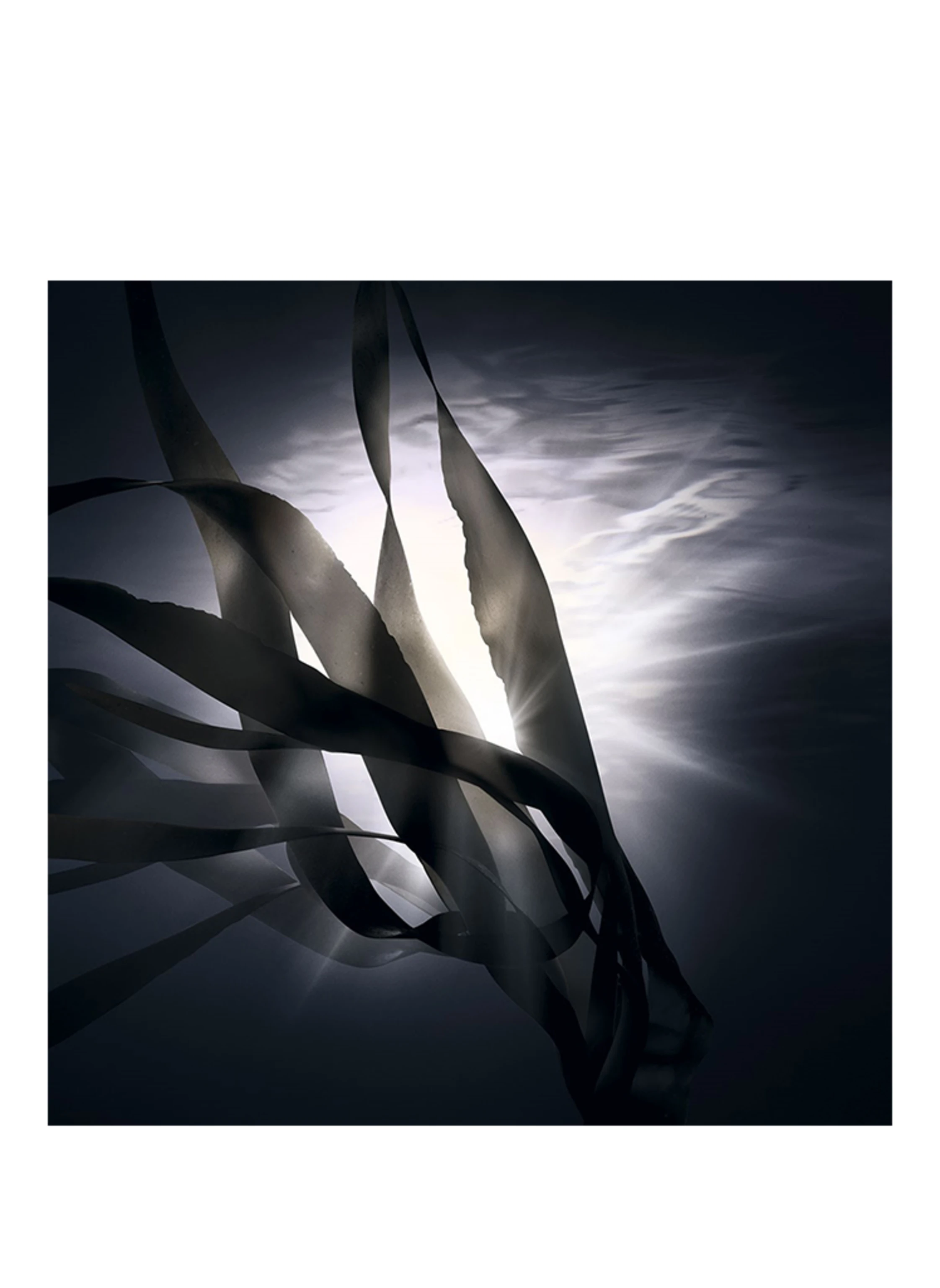 GIVENCHY BEAUTY LE SOIN NOIR