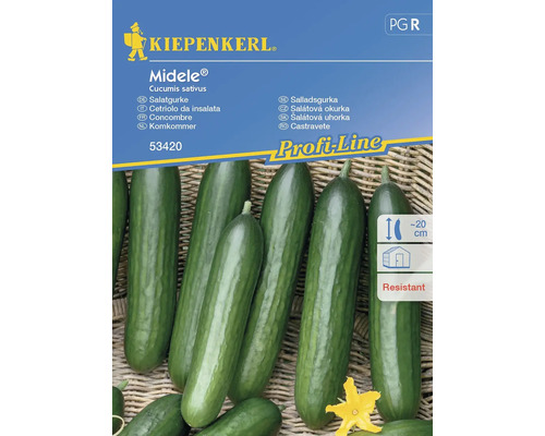 Midele® Kiepenkerl Hybride Komkommerzaad Groentezaden