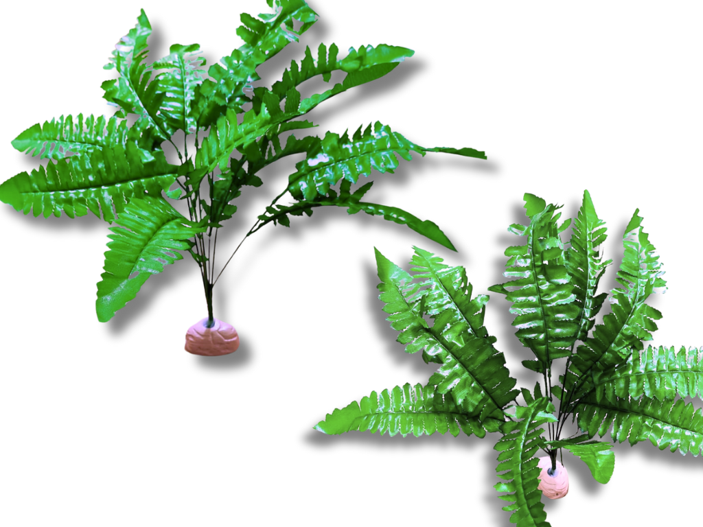 Samambaia de 45 cm para decoração de terrário