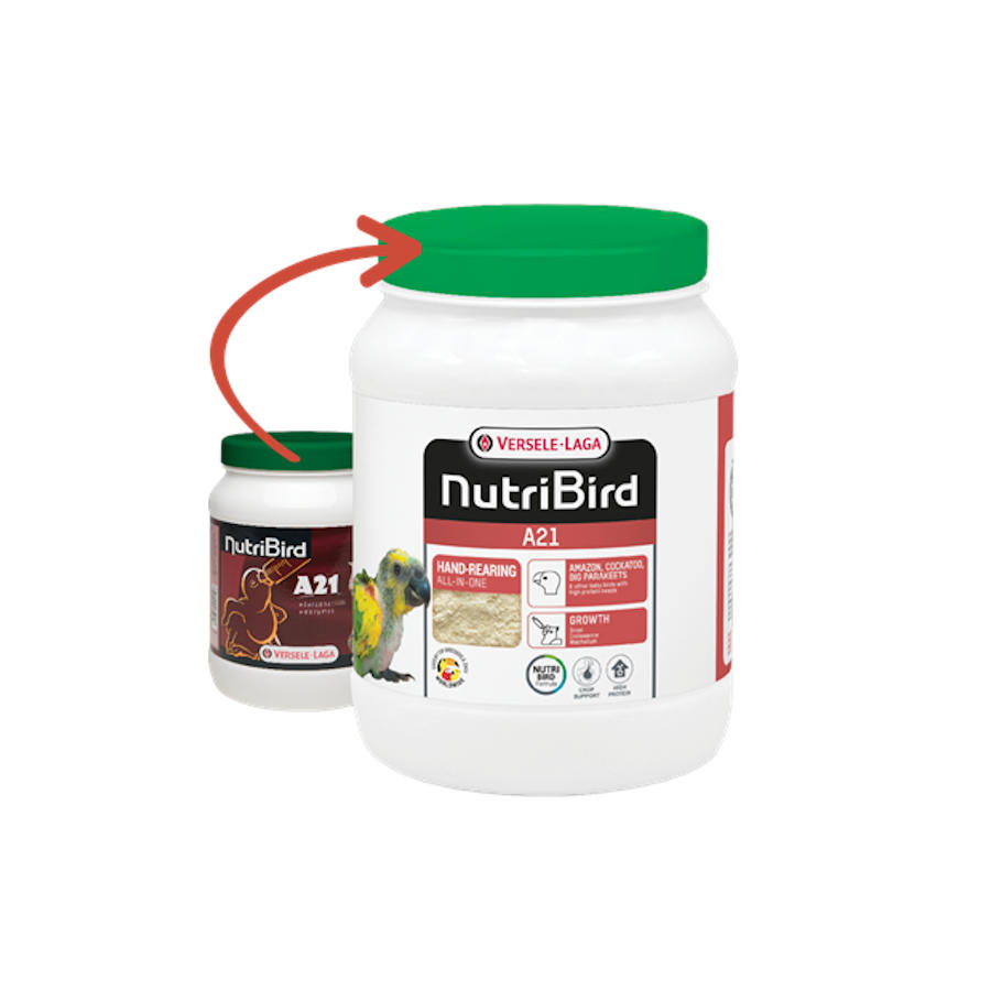 Fórmula para filhotes de pássaros Versele-Laga Nutribird