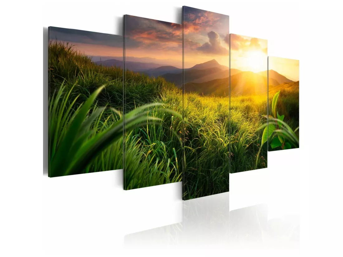 Tableau royaume calme - 100 x 50 cm