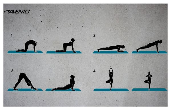Avento Tapis de fitness/yoga basique Rose