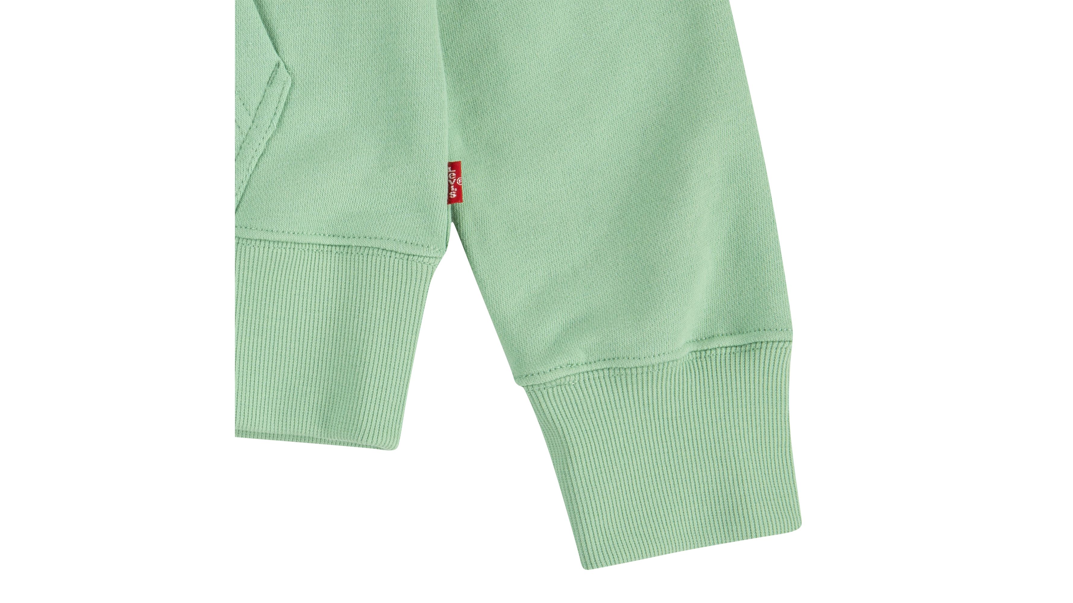 Sweat à capuche logo poster - Meadow - Vert