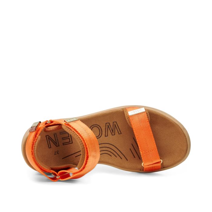 Line Sandal
