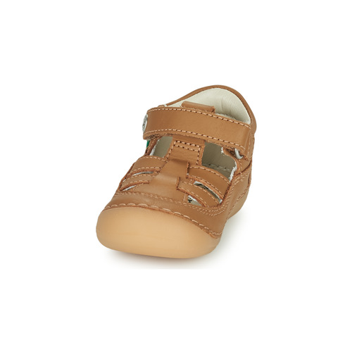 Kickers - SUSHY - Camel
