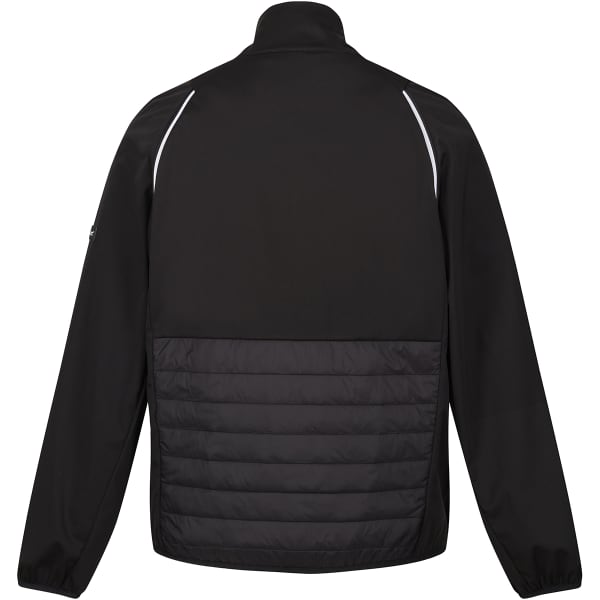 Doudoune randonnée REGATTA STEREN HYBRID BLACK (JASMINE GREEN)