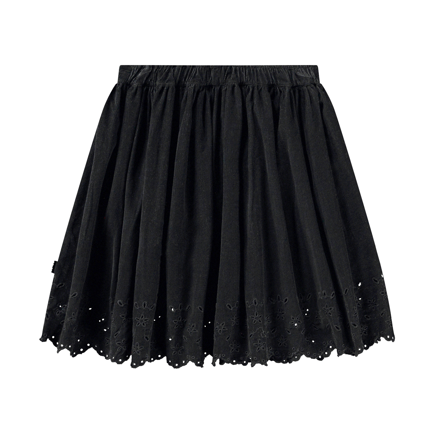 Bellis - Black